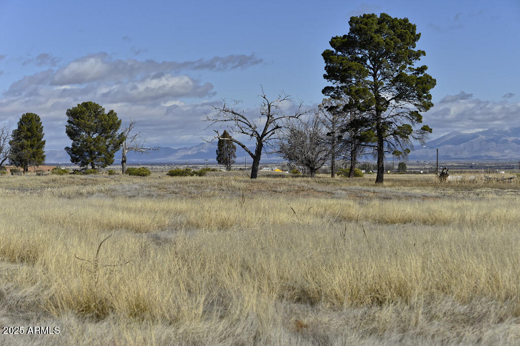 1029 E Geneva Street 26