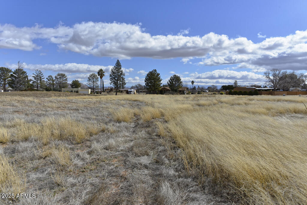 1029 E Geneva Street 26