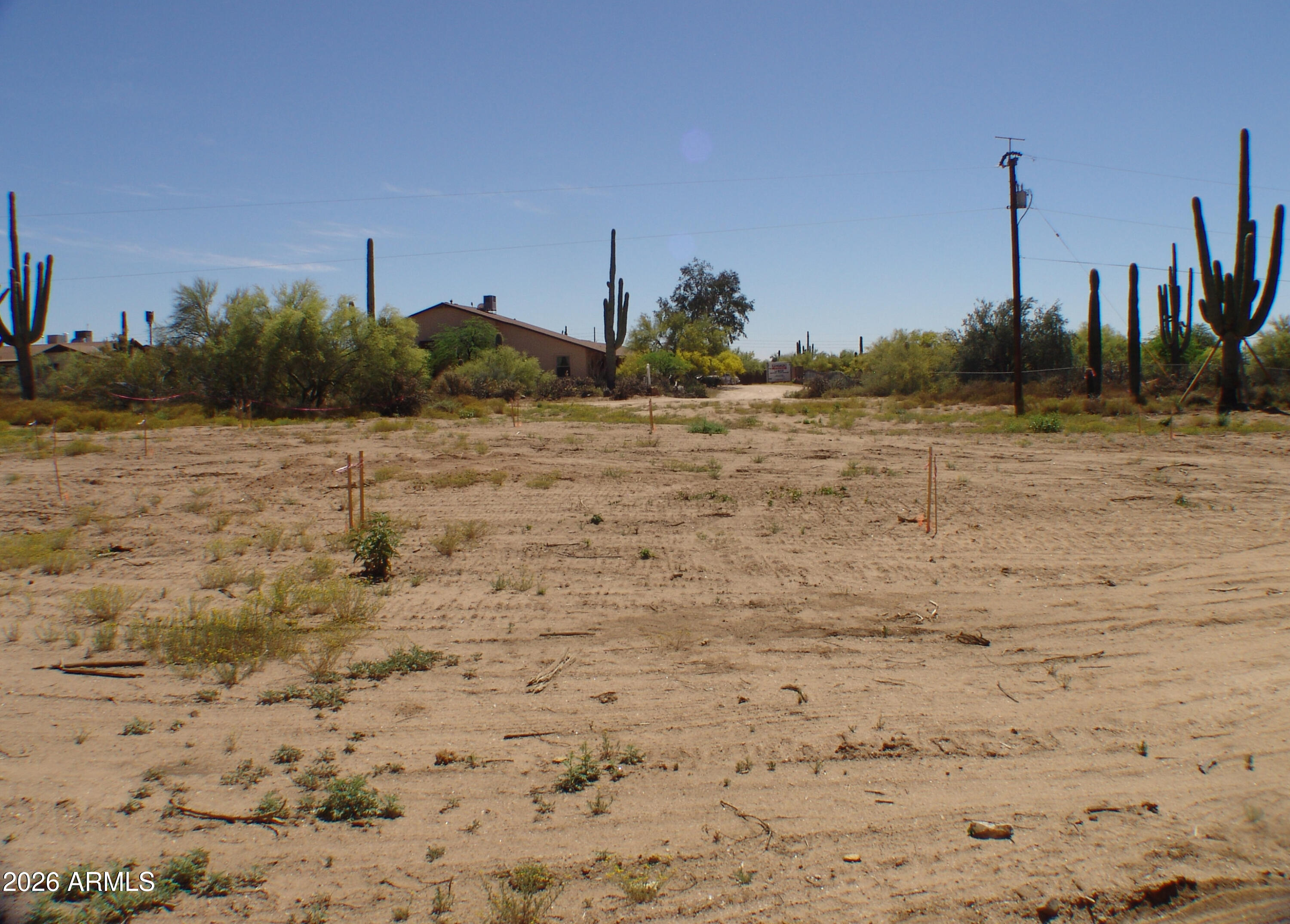 31607 N 64TH Street na