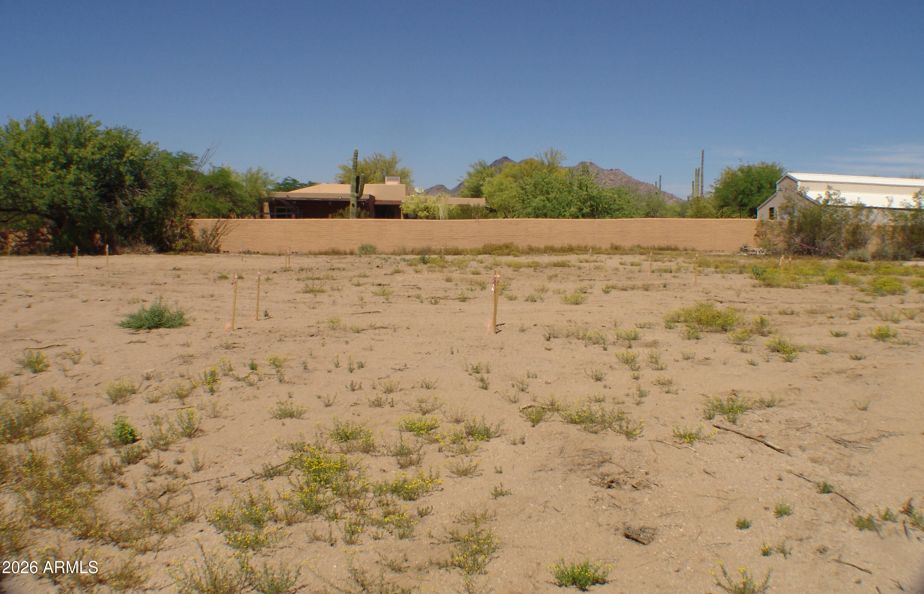 31607 N 64TH Street na