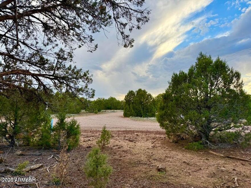 Beautiful, heavily treed lots in White Mountain Lakes with water and power at the lot line. These lots are level for an easy build for your site build or manufactured home or homes with far range views. Lake rights for the private White Mountain Lake also come with these lots. The largest lake of the area where you can boat, water ski, ride wave runners, fish, swim, and play on the beach. Birdie Ranch Golf Course is a couple minutes' drive as well. Just 20 minutes from downtown Show Low and all of its dining and shopping amenities. Skiing, horseback riding, hiking, biking and more activities are also available in the area. No HOA makes theses the perfect lost! Alternative septic needed.