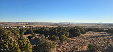 0 Arena Estates -- - Taylor AZ 85939