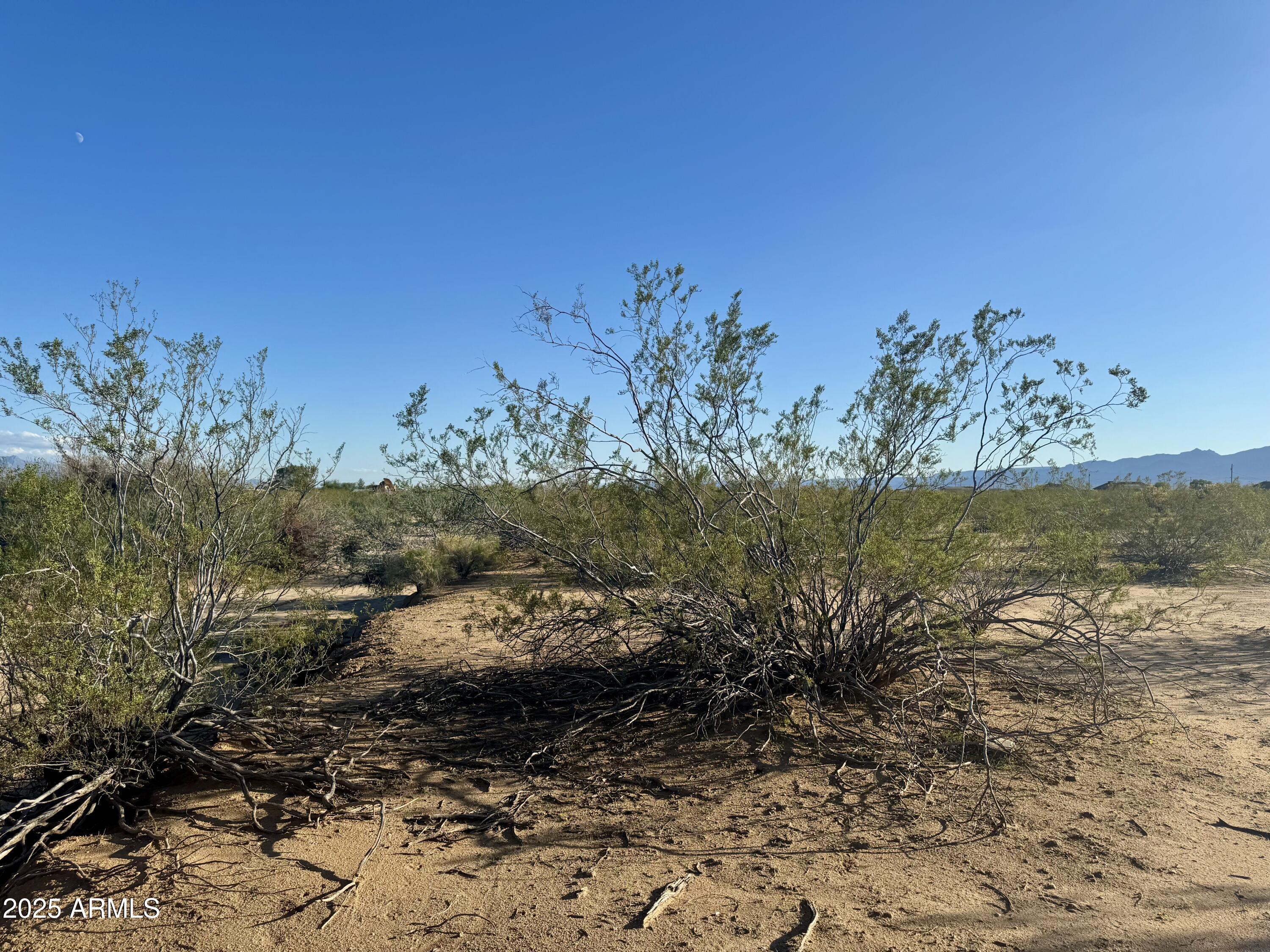 3689 N SANTA CRUZ Road 3