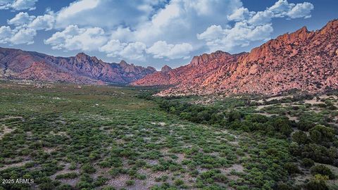 M223 E Cougar Trail 223 Saint David AZ 85630