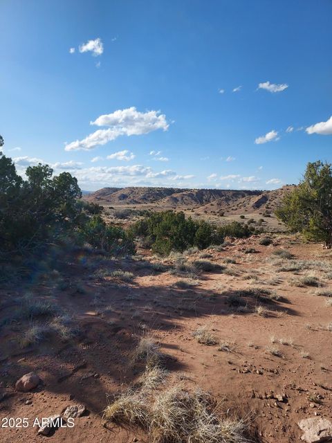 150 N County Rd. N 6100 -- _ St Johns AZ 85936