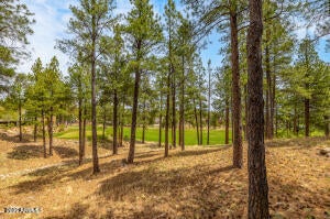 1734 E Mossy Oak Ct Unit 2, Flagstaff, AZ, 86005, USA, 3 Bedrooms Bedrooms, ,2 BathroomsBathrooms,Townhouse,Active,1734 E Mossy Oak Ct Unit 2,7019819