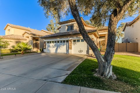 2181 W ROCKROSE Place Chandler AZ 85248