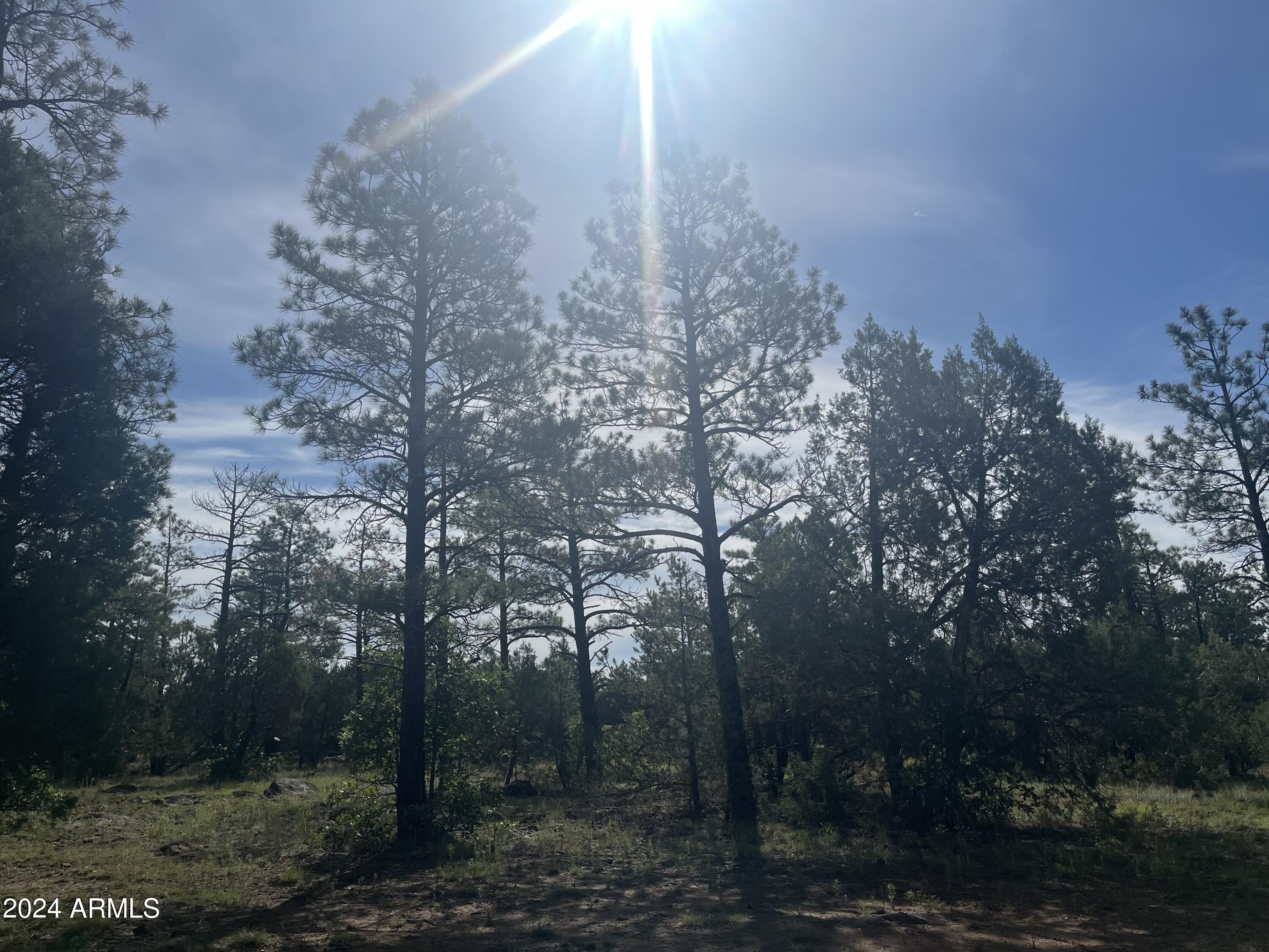 5509 RED SQUIRREL Lane 58