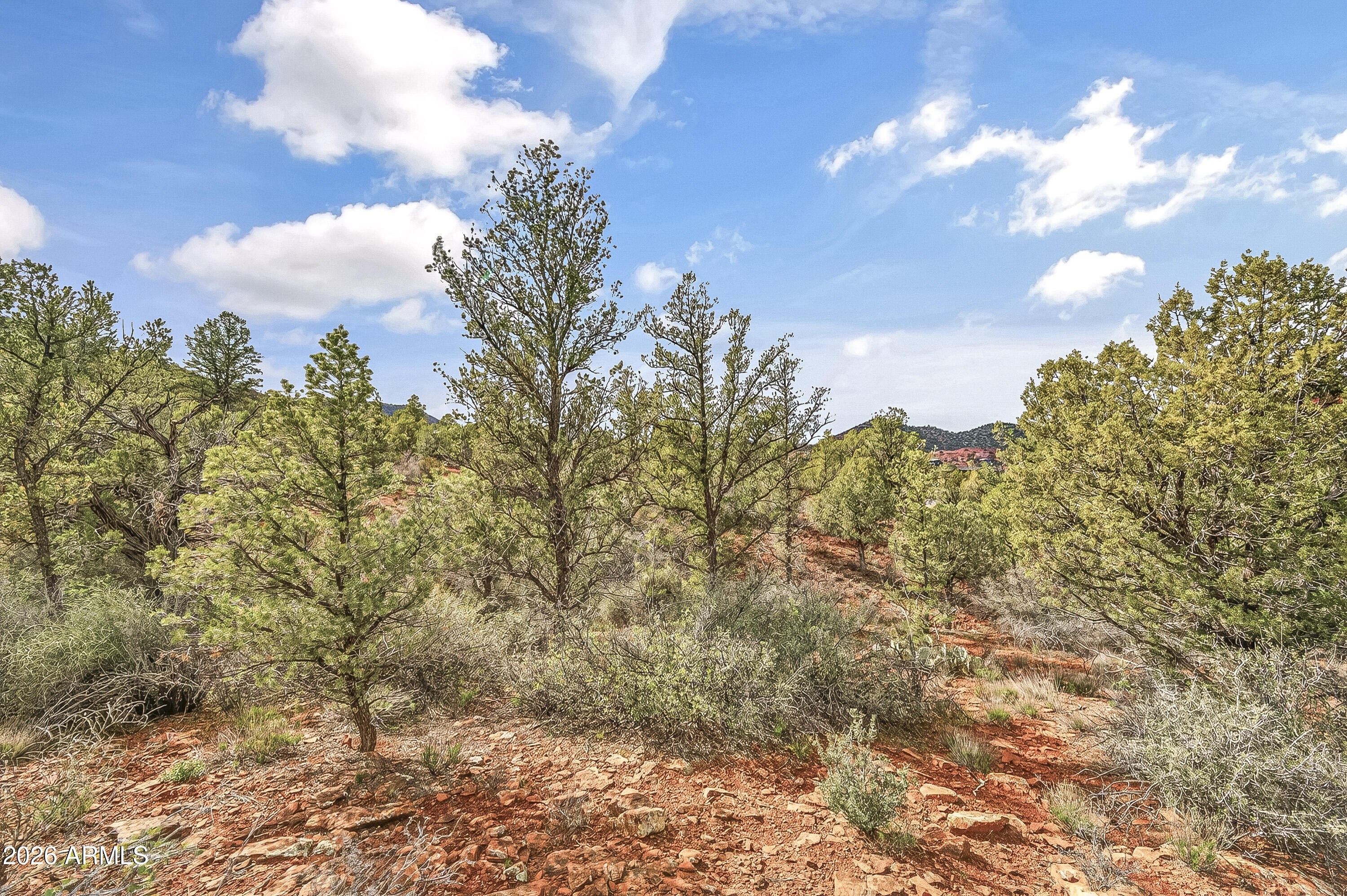 175 CROSS CREEK Circle 25