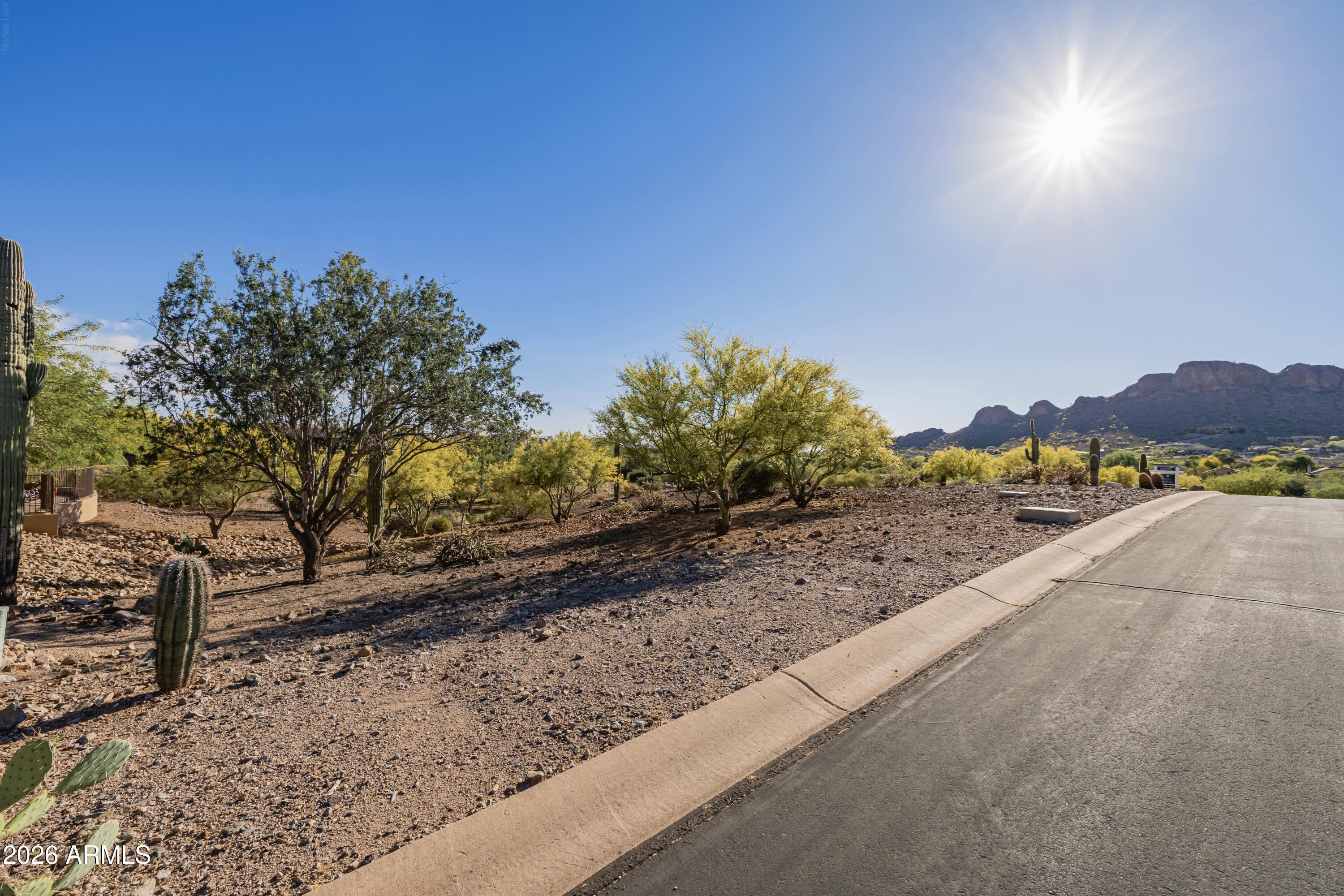 10703 E CALLE DEL CASCABEL -- 16