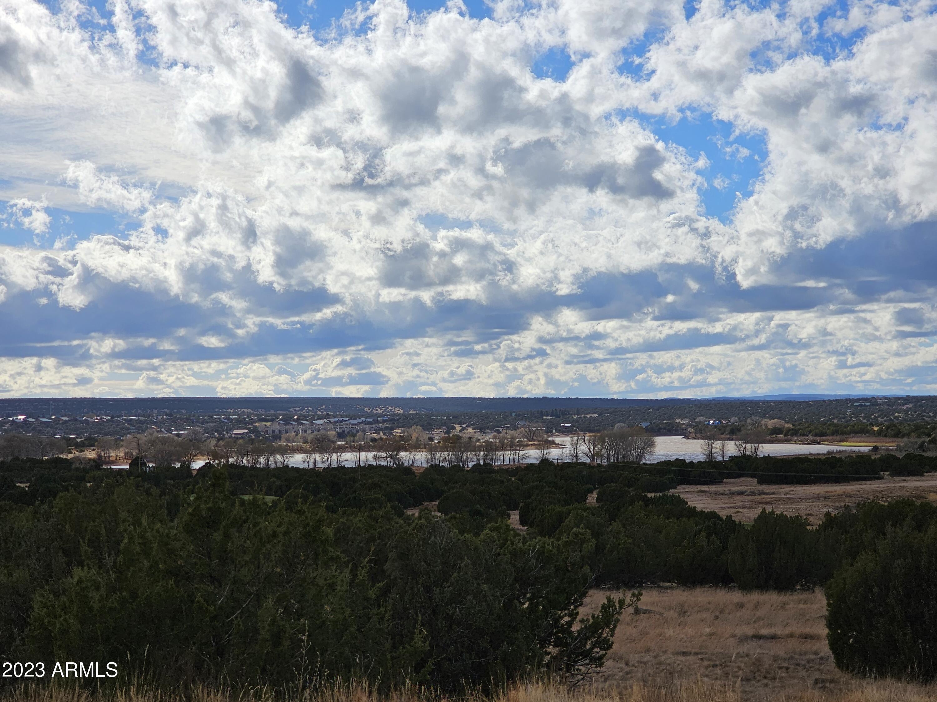 Show Low, Arizona 85901, United States, ,Land,Active,170432