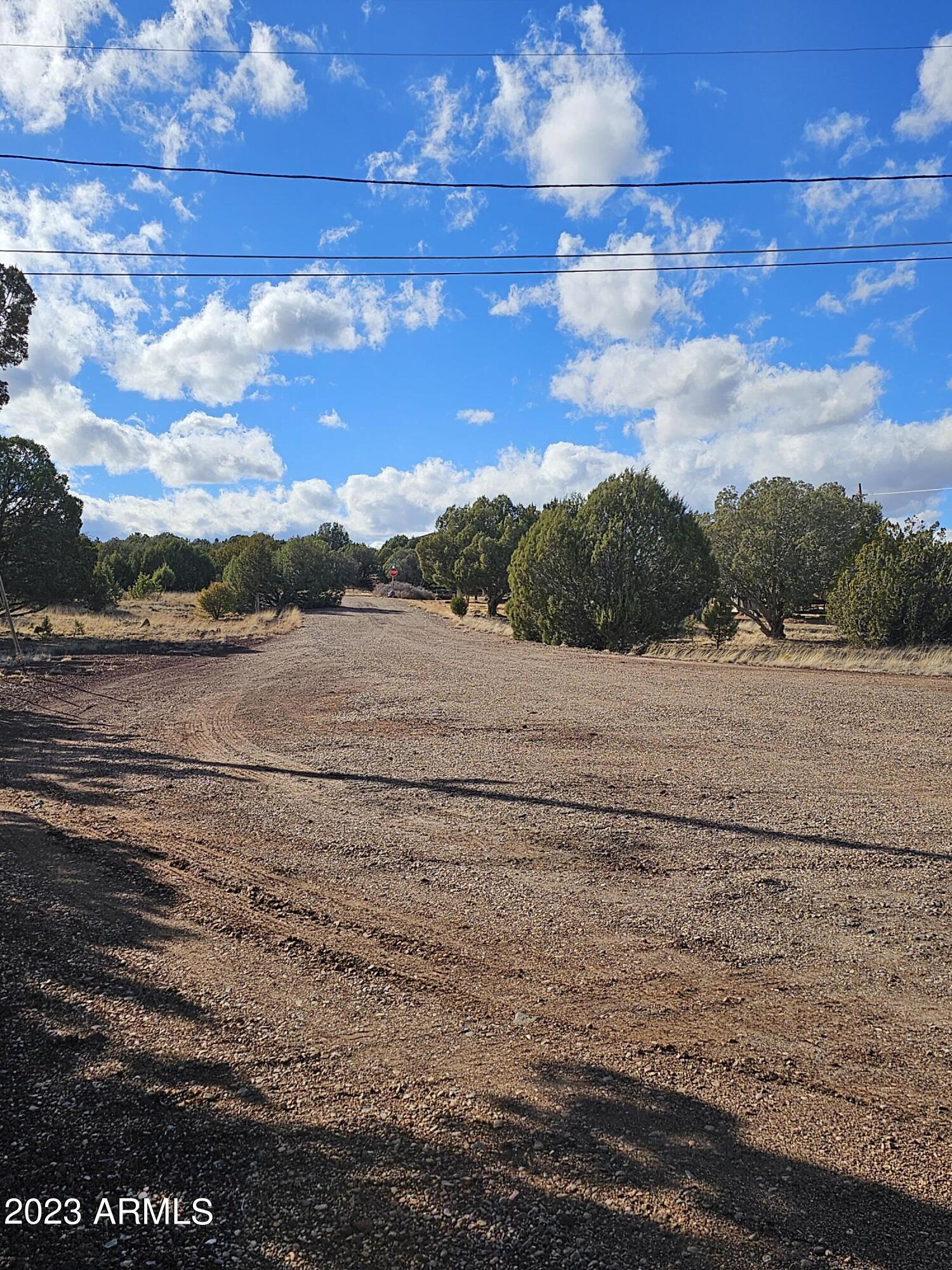 Show Low, Arizona 85901, United States, ,Land,Active,170432