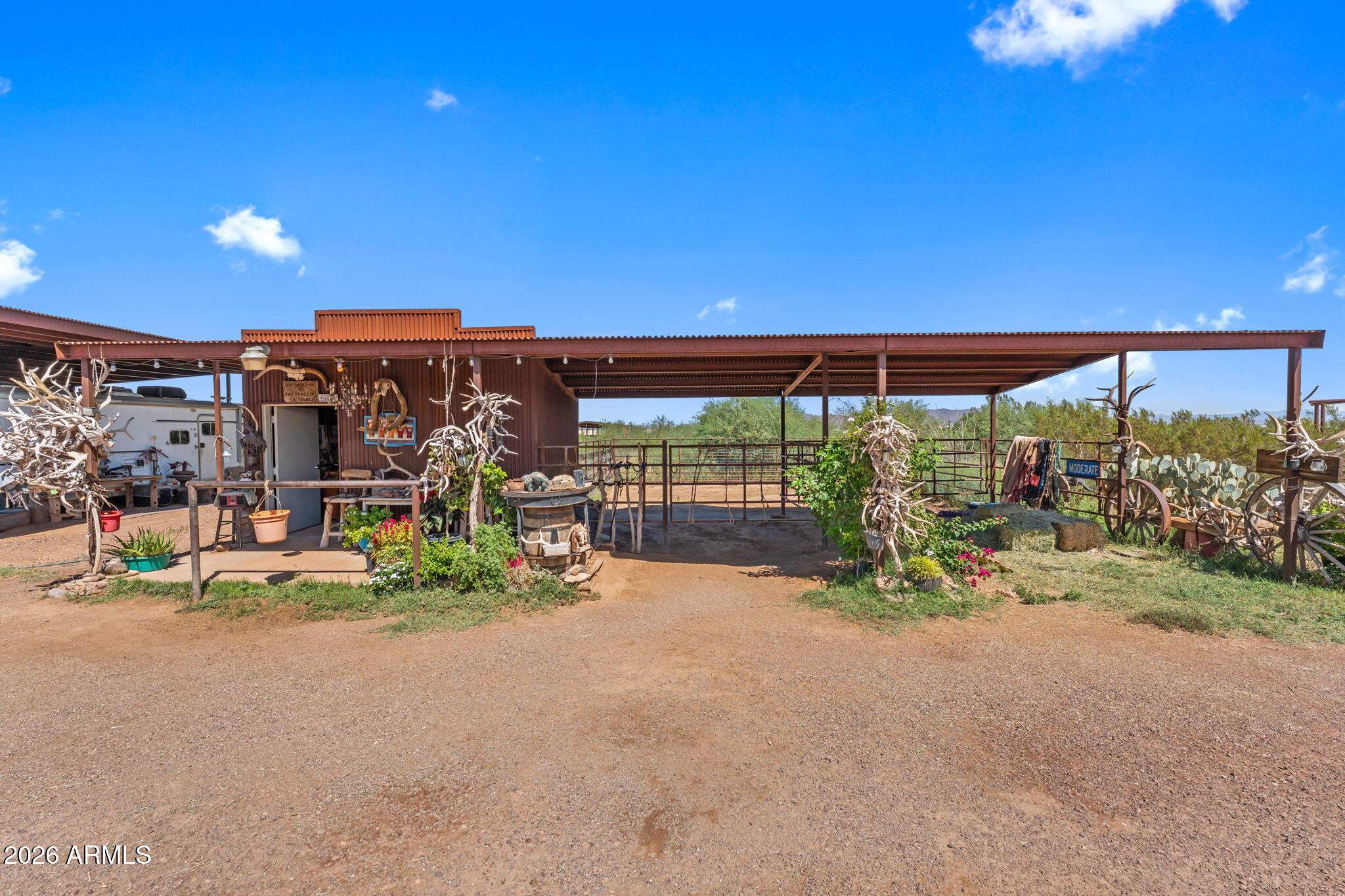 Y W Buffalo Dog Road -