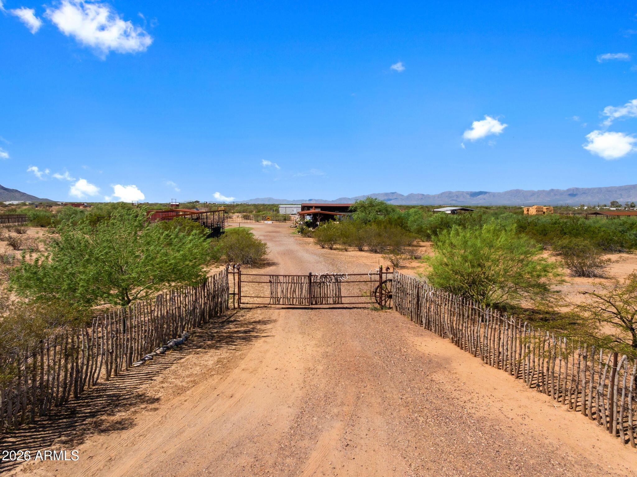 Y W Buffalo Dog Road -