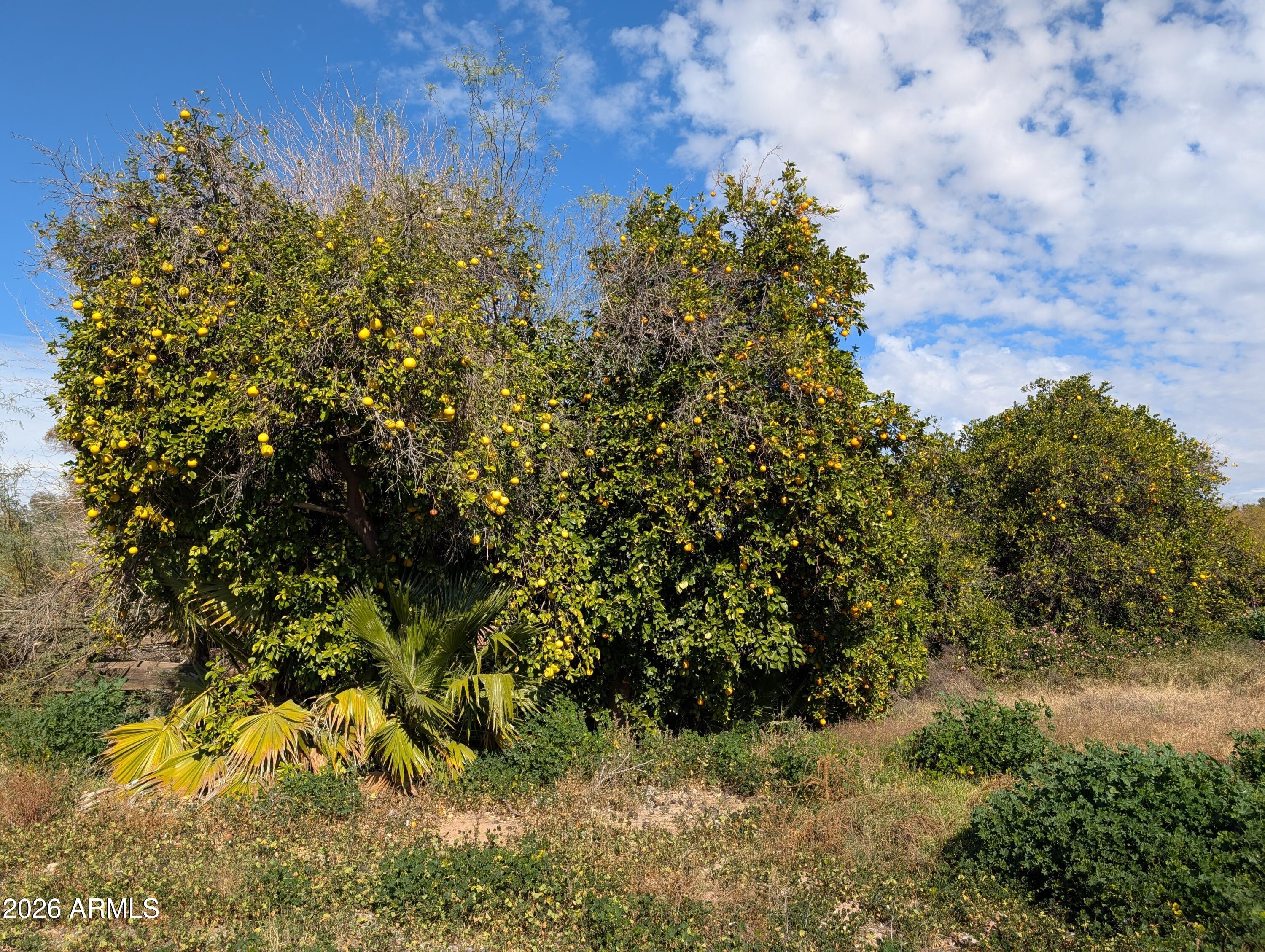 12630 E Vallejo Street -