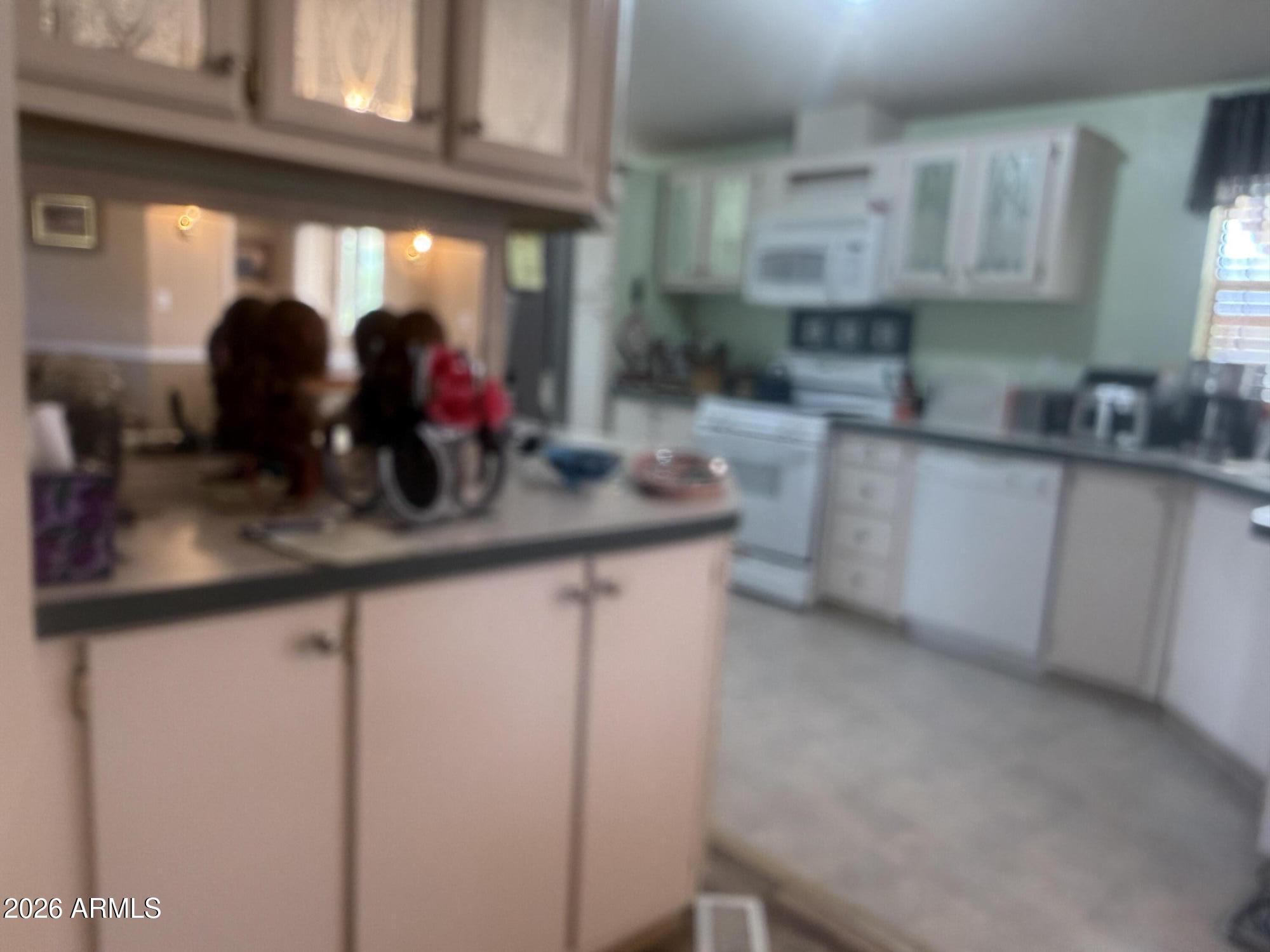 30854 S WANDERING Way 64