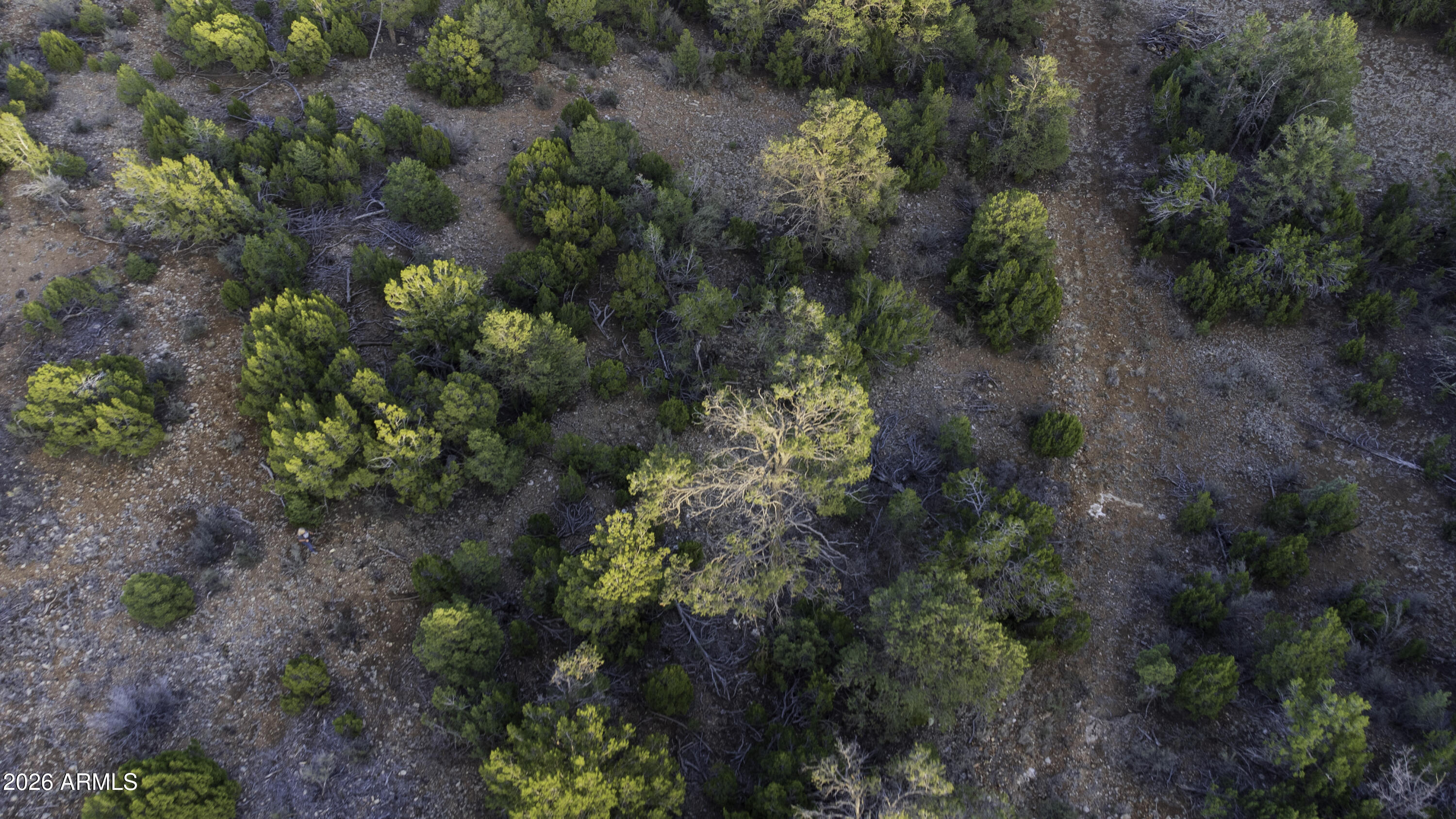 MOGOLLON RANCH UNIT 2 - Land