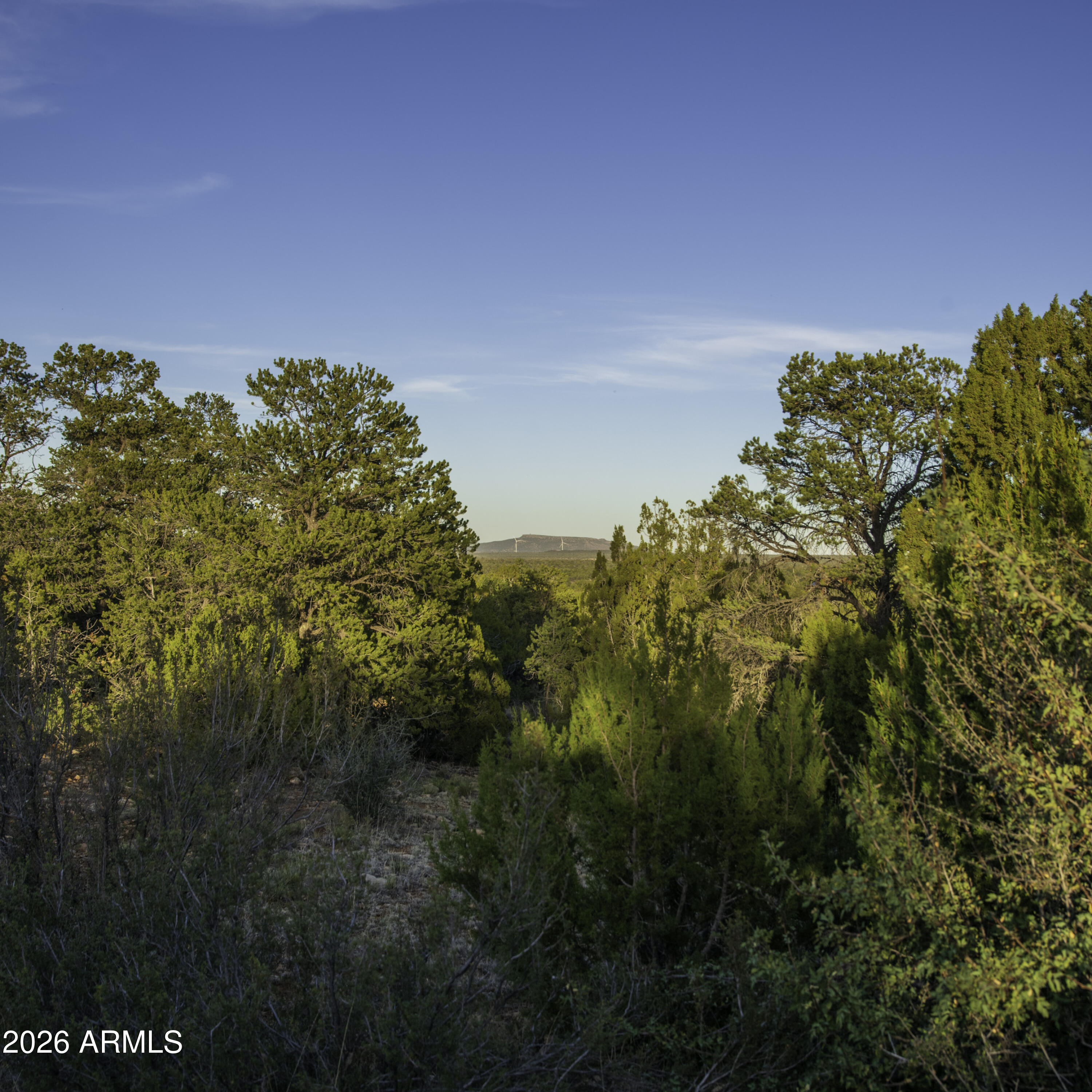 MOGOLLON RANCH UNIT 2 - Land