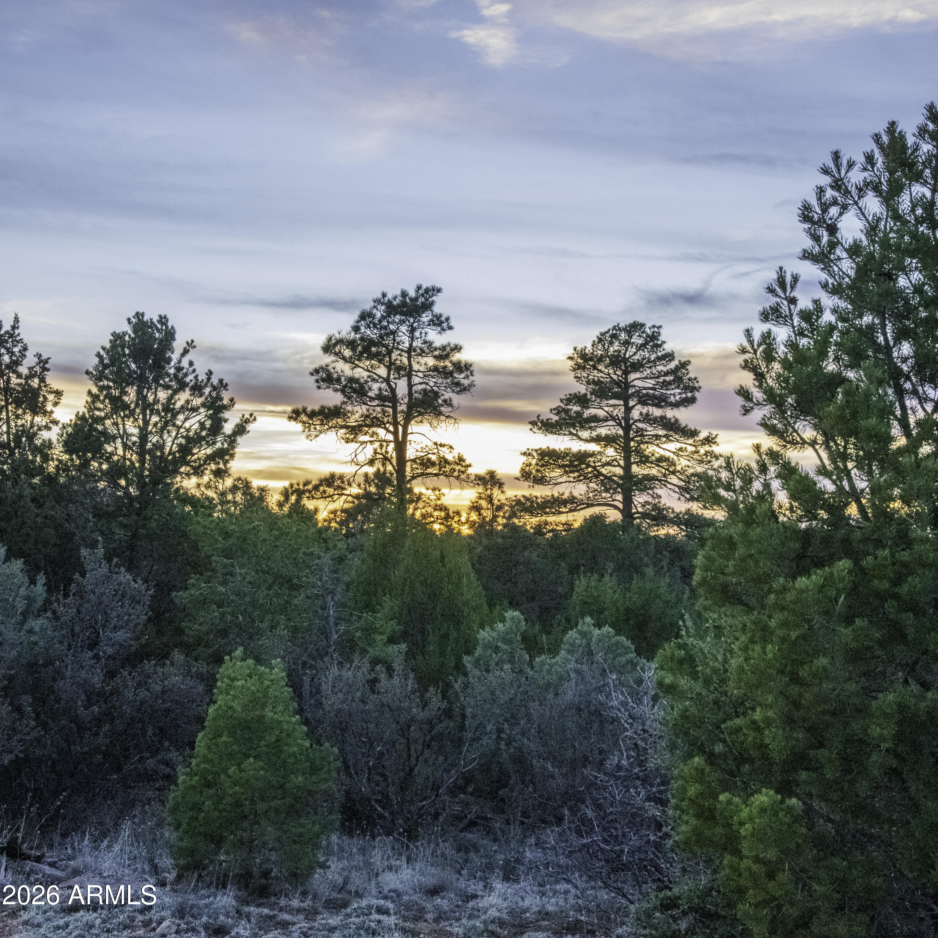 MOGOLLON RANCH UNIT 2 - Land