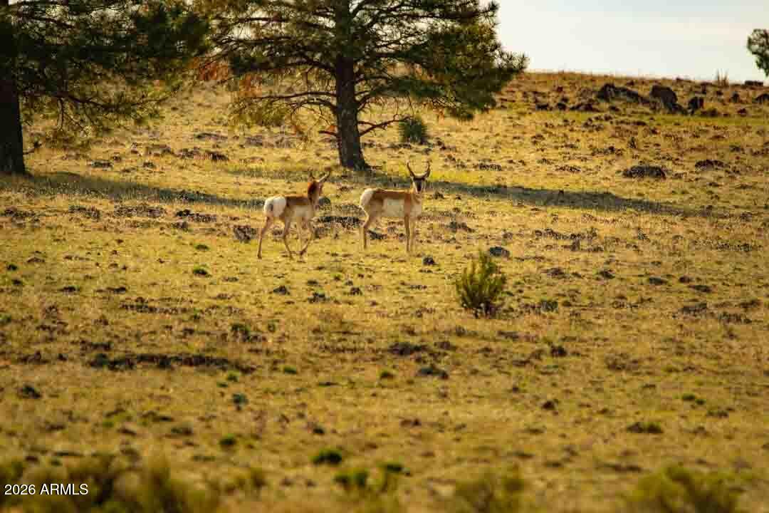 3633 SUNSET RIDGE Loop 166