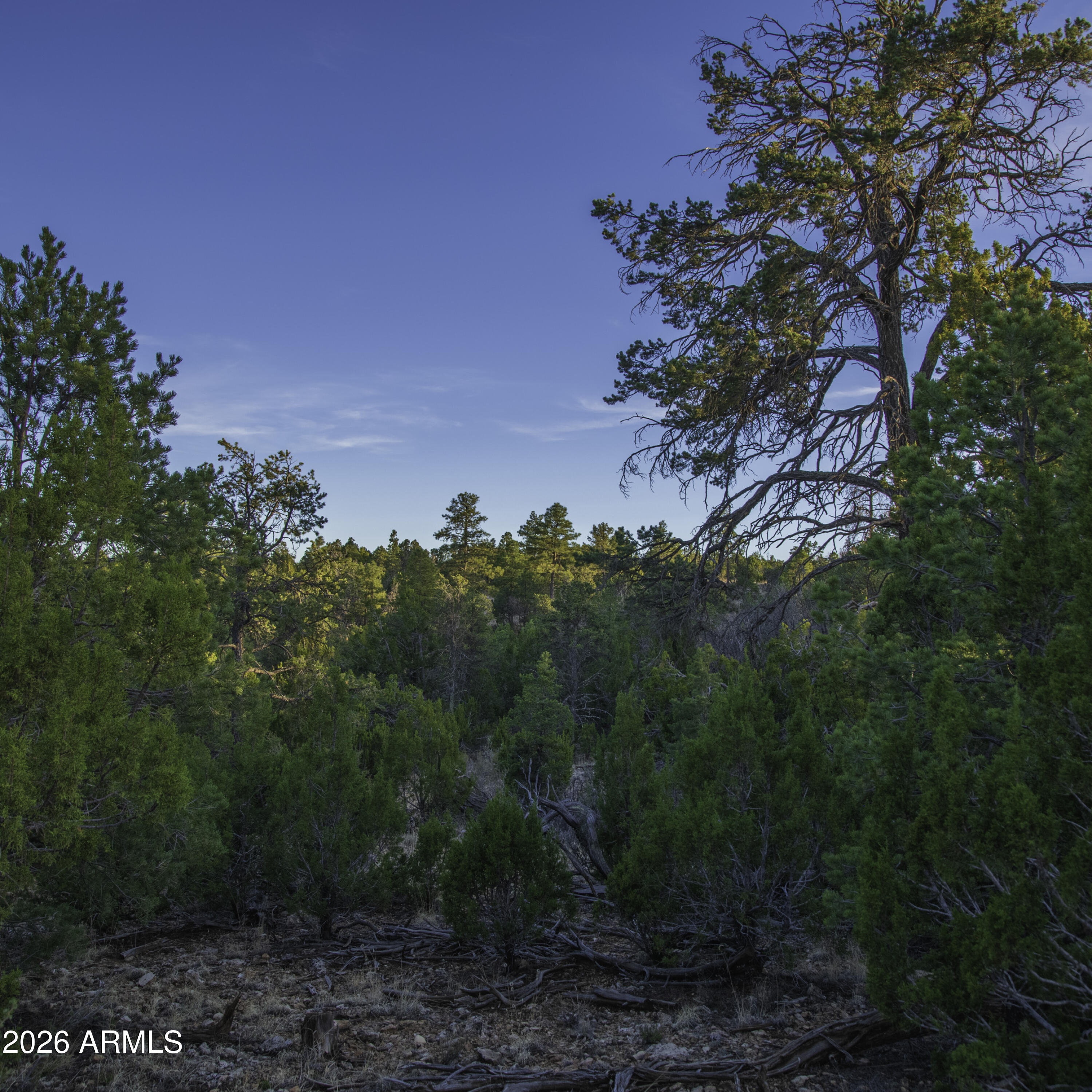 MOGOLLON RANCH UNIT 2 - Land