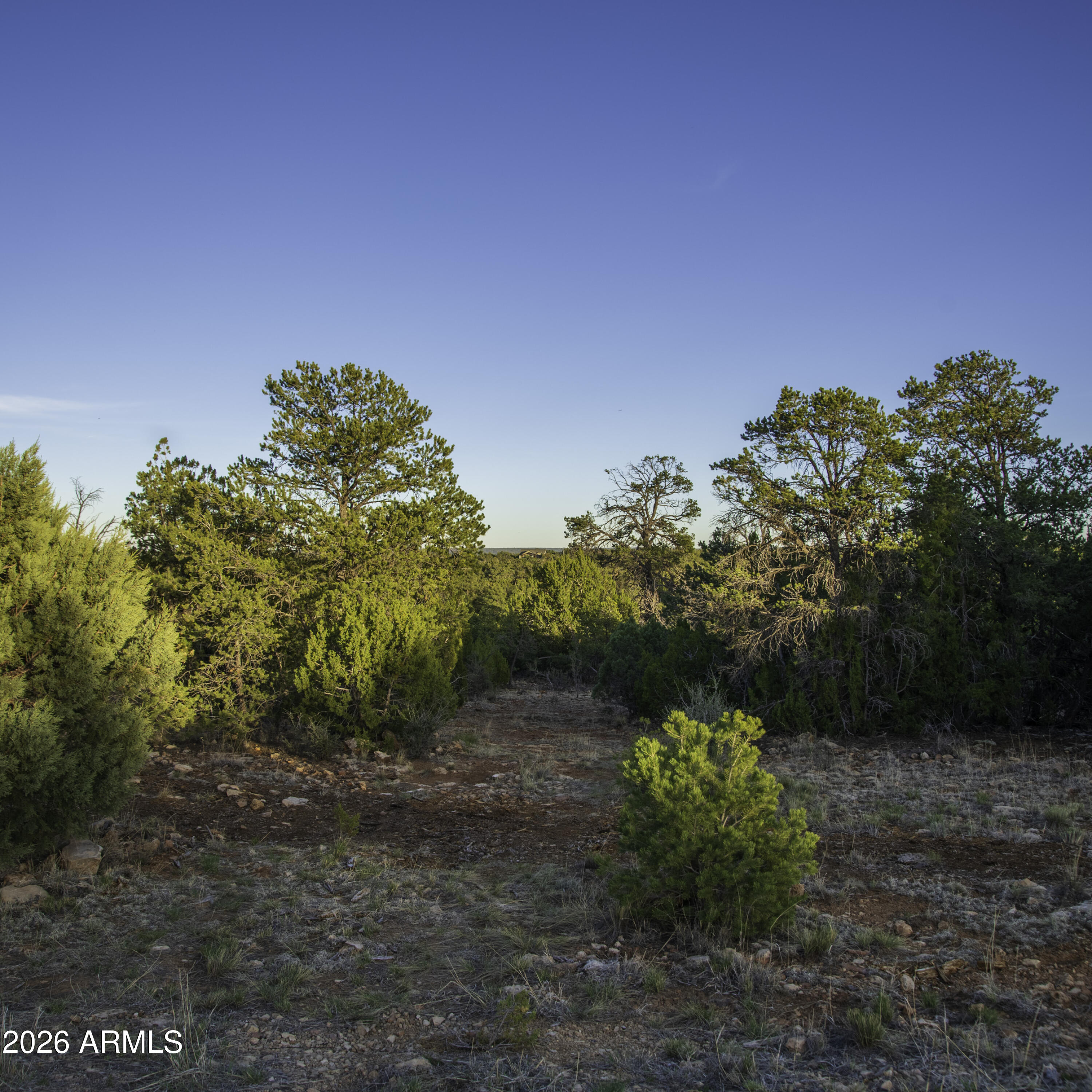 MOGOLLON RANCH UNIT 2 - Land