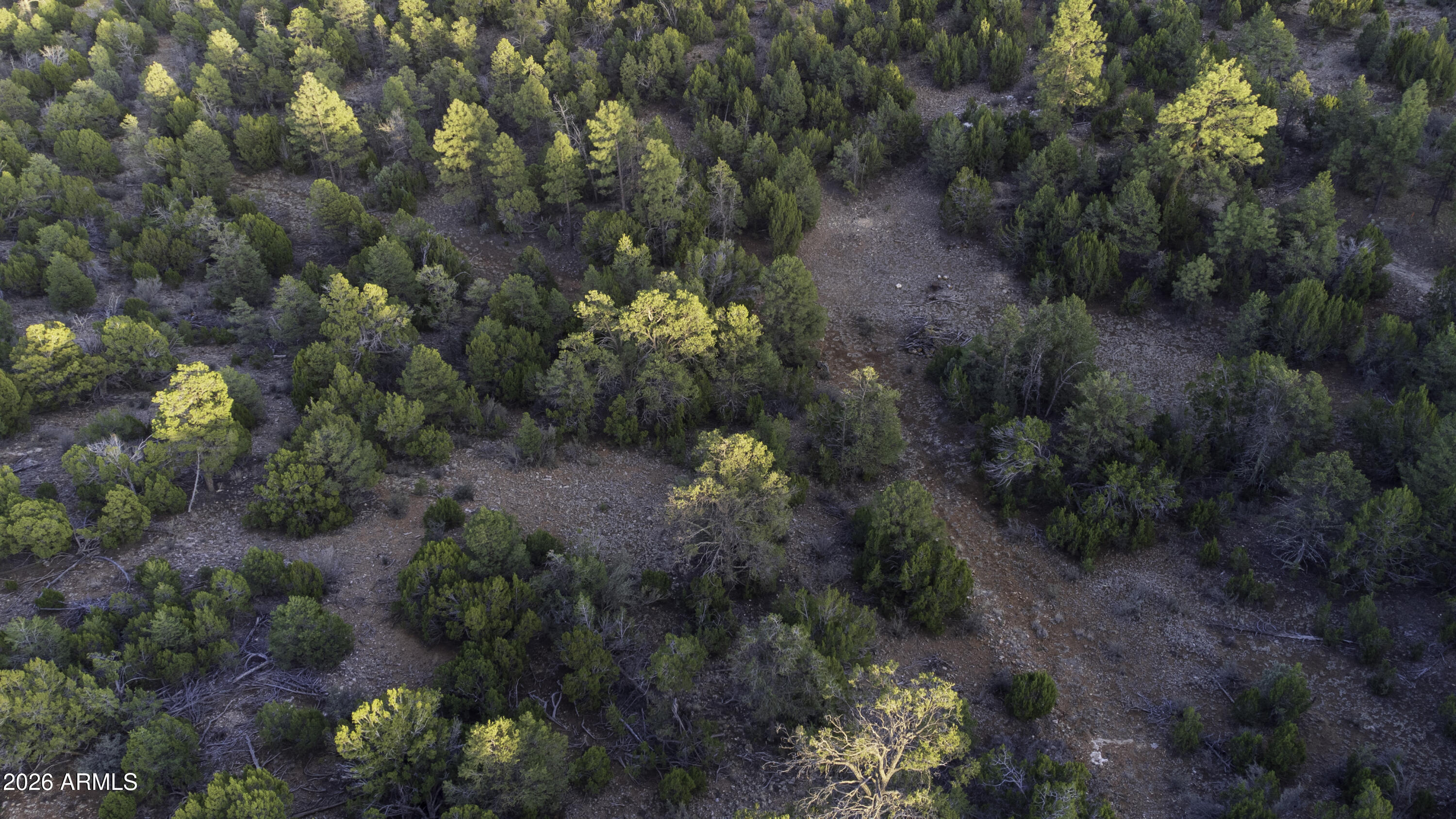 MOGOLLON RANCH UNIT 2 - Land