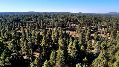 A home in Flagstaff