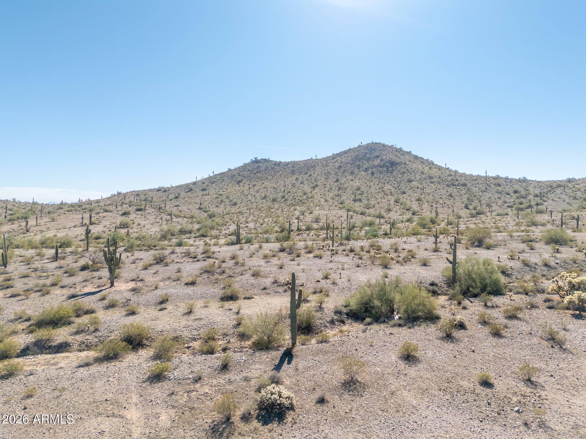 11995 W MOUNTAIN SHADOWS Drive 49