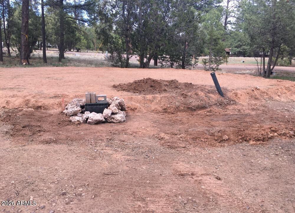 2890 PINE RIM Road -