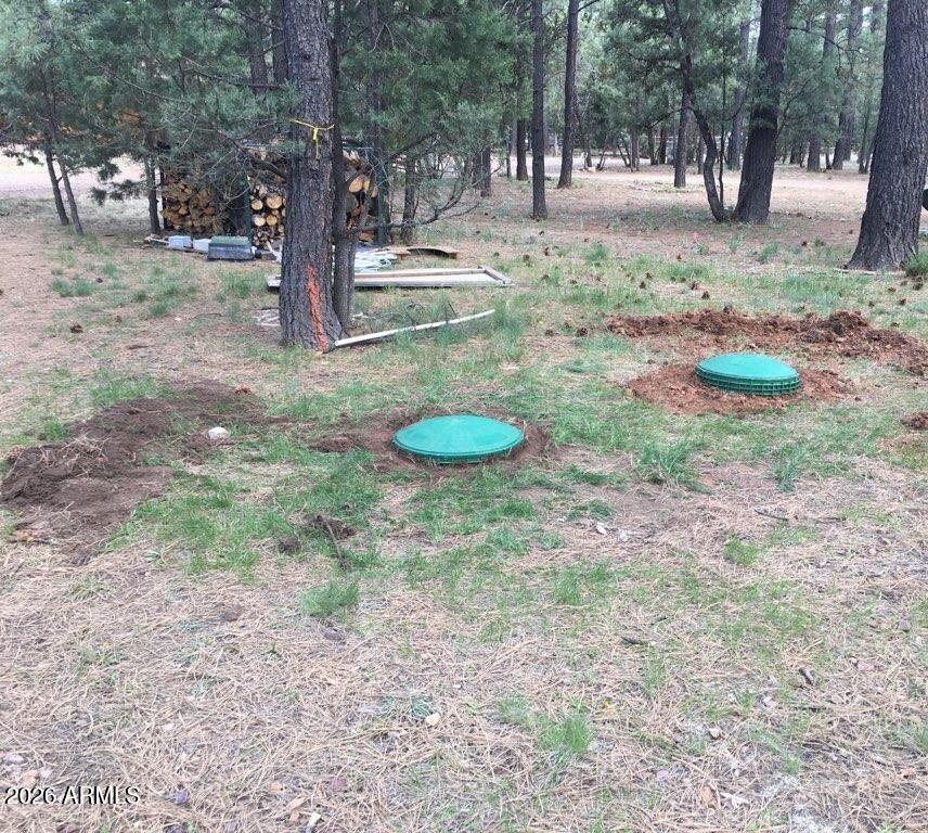 2890 PINE RIM Road -