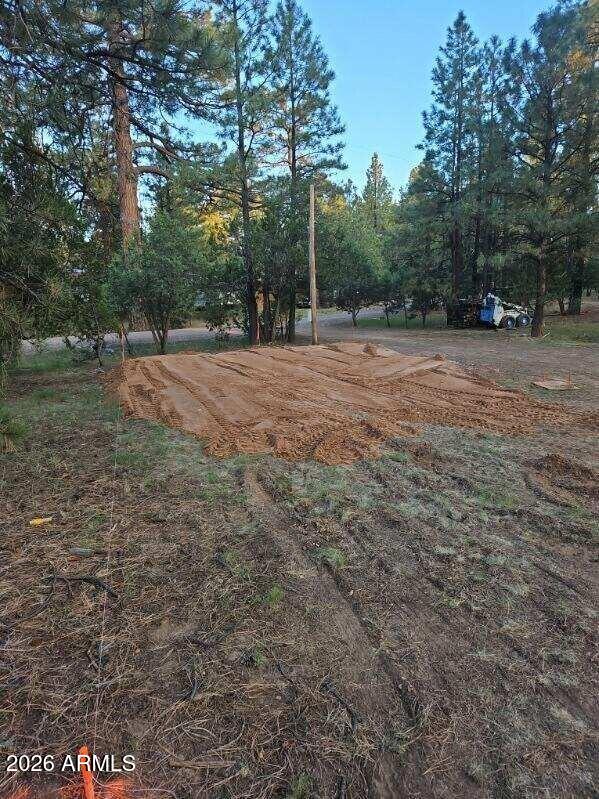 2890 PINE RIM Road -