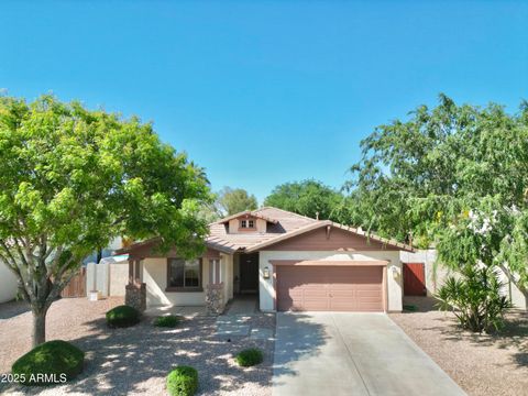 1516 E Azalea Drive Gilbert AZ 85298