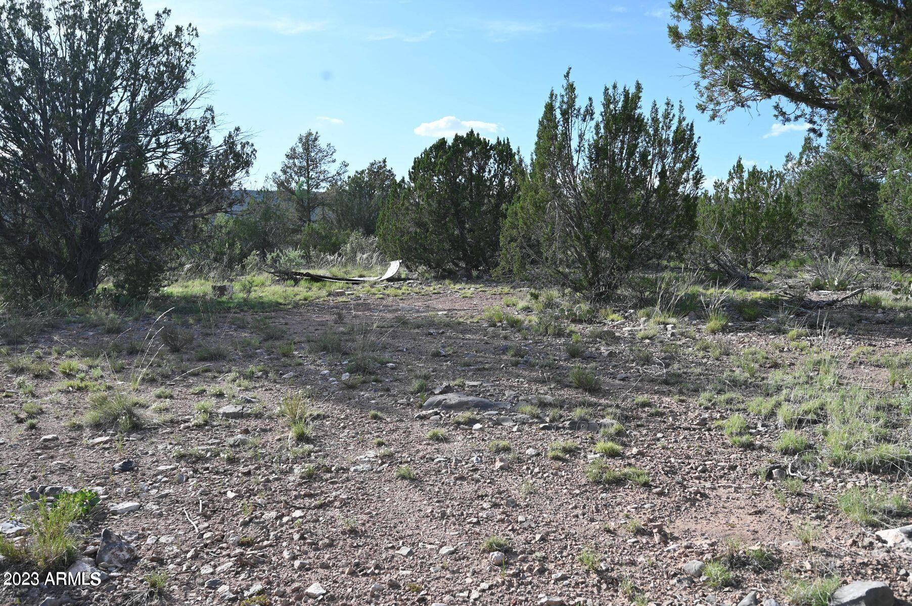 View Seligman, AZ 86337 land