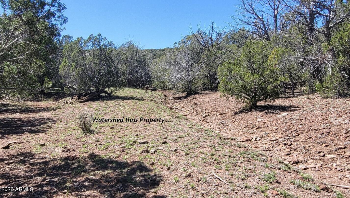 Westwood Ranches  Phase 2 Lot 202 NEQ SW Sec 11 T23N R4W - Residential