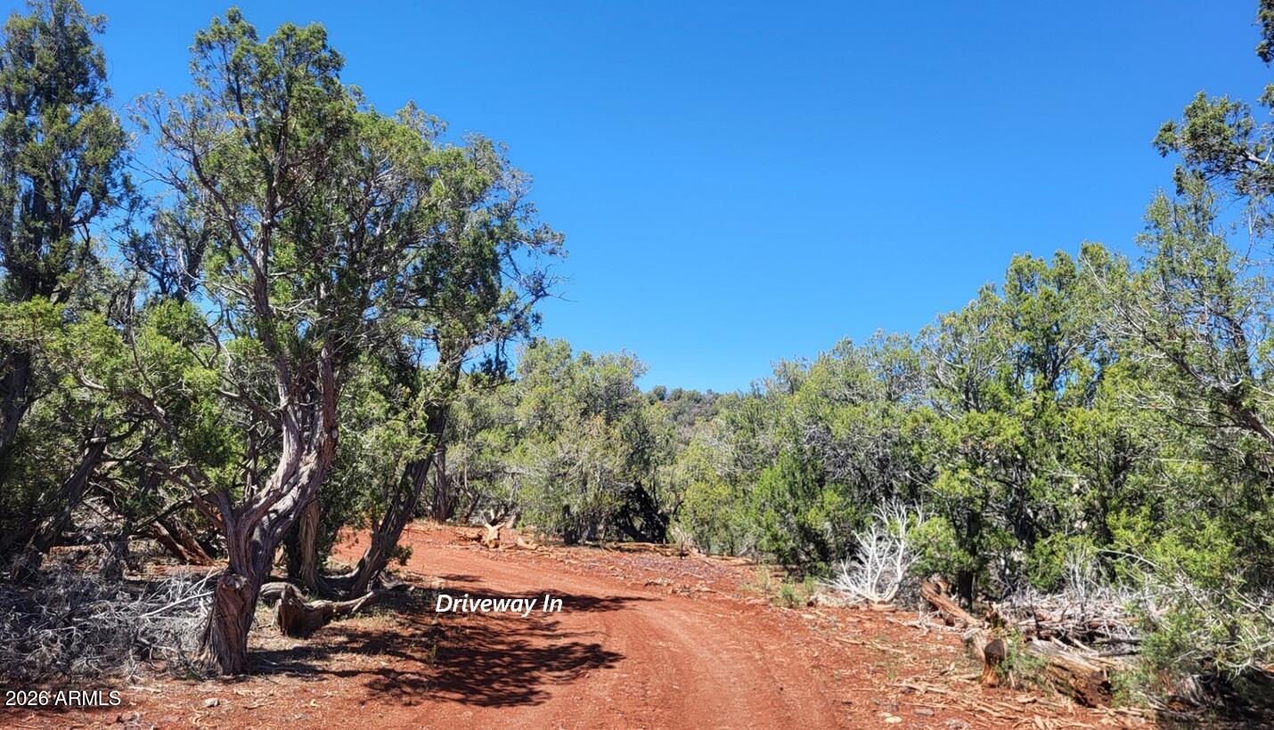 11044 Six Shooter Trail 202