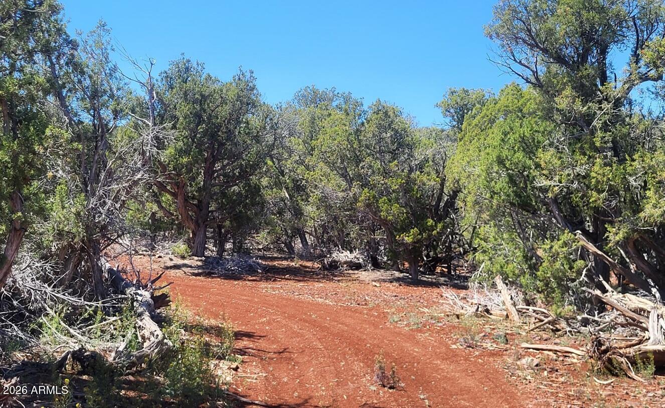 Westwood Ranches  Phase 2 Lot 202 NEQ SW Sec 11 T23N R4W - Residential