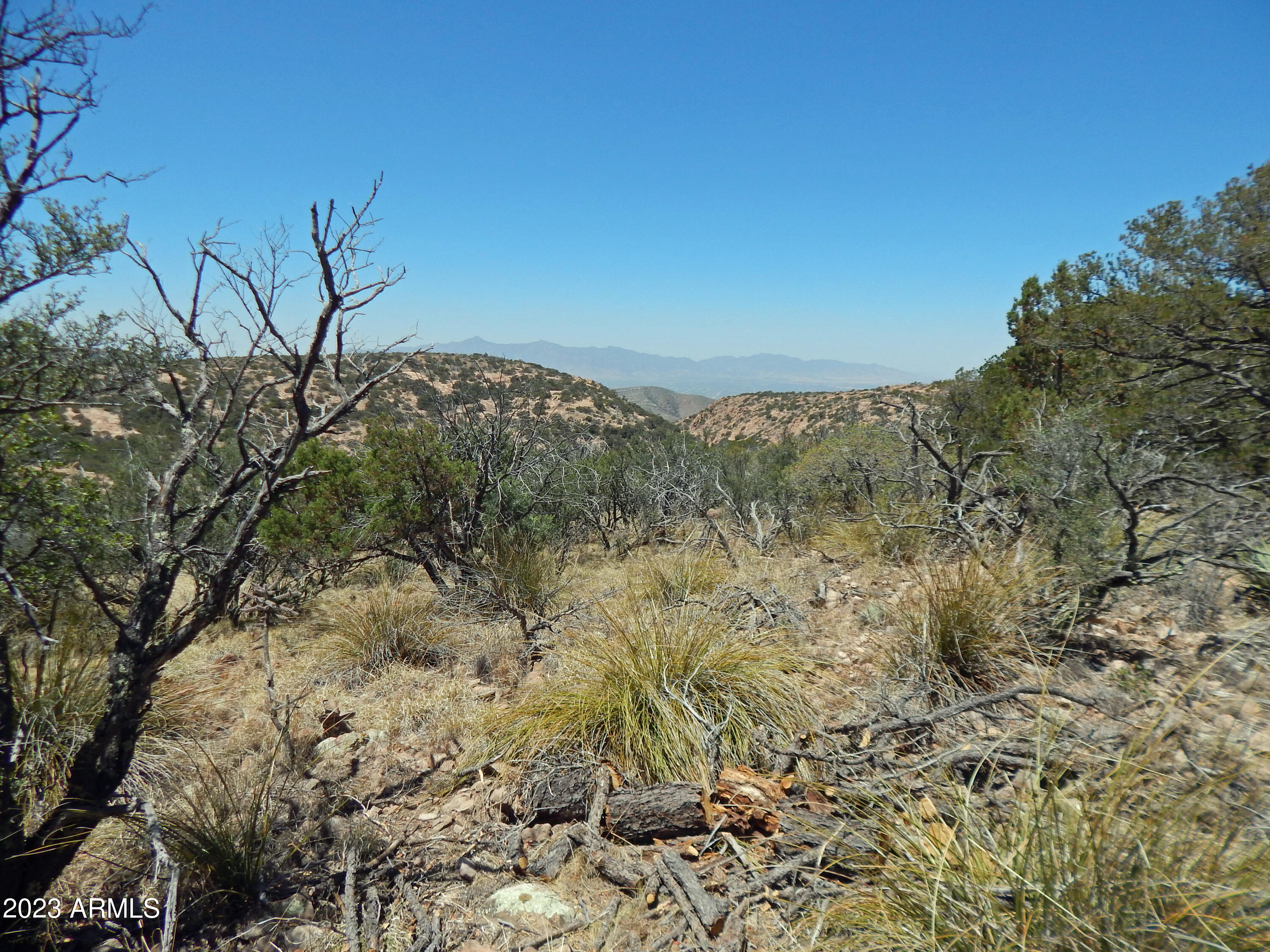 Sandy Bob Ranches LLC Unsubdivided Subdivision Phase 2 - Land