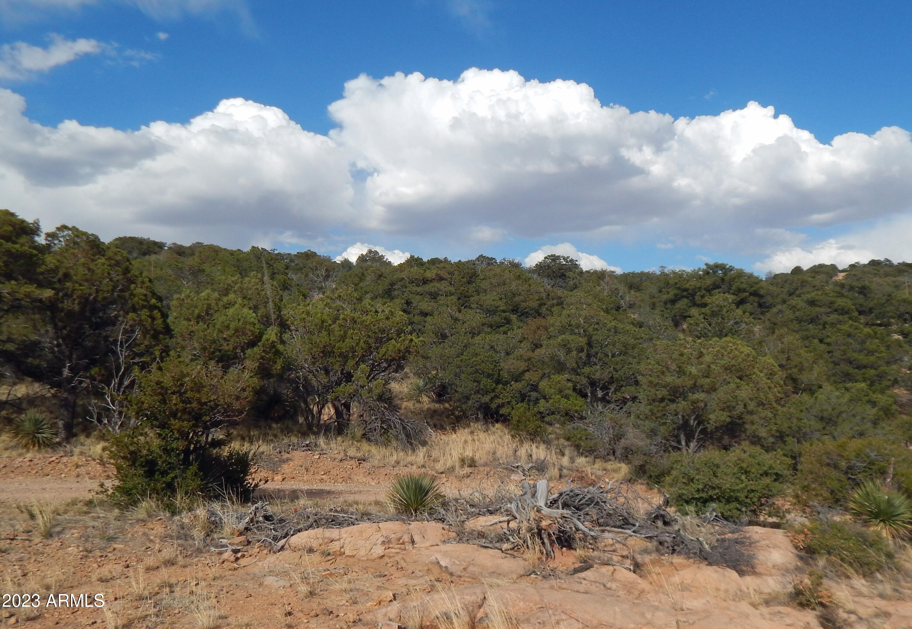 Sandy Bob Ranches LLC Unsubdivided Subdivision Phase 2 - Land