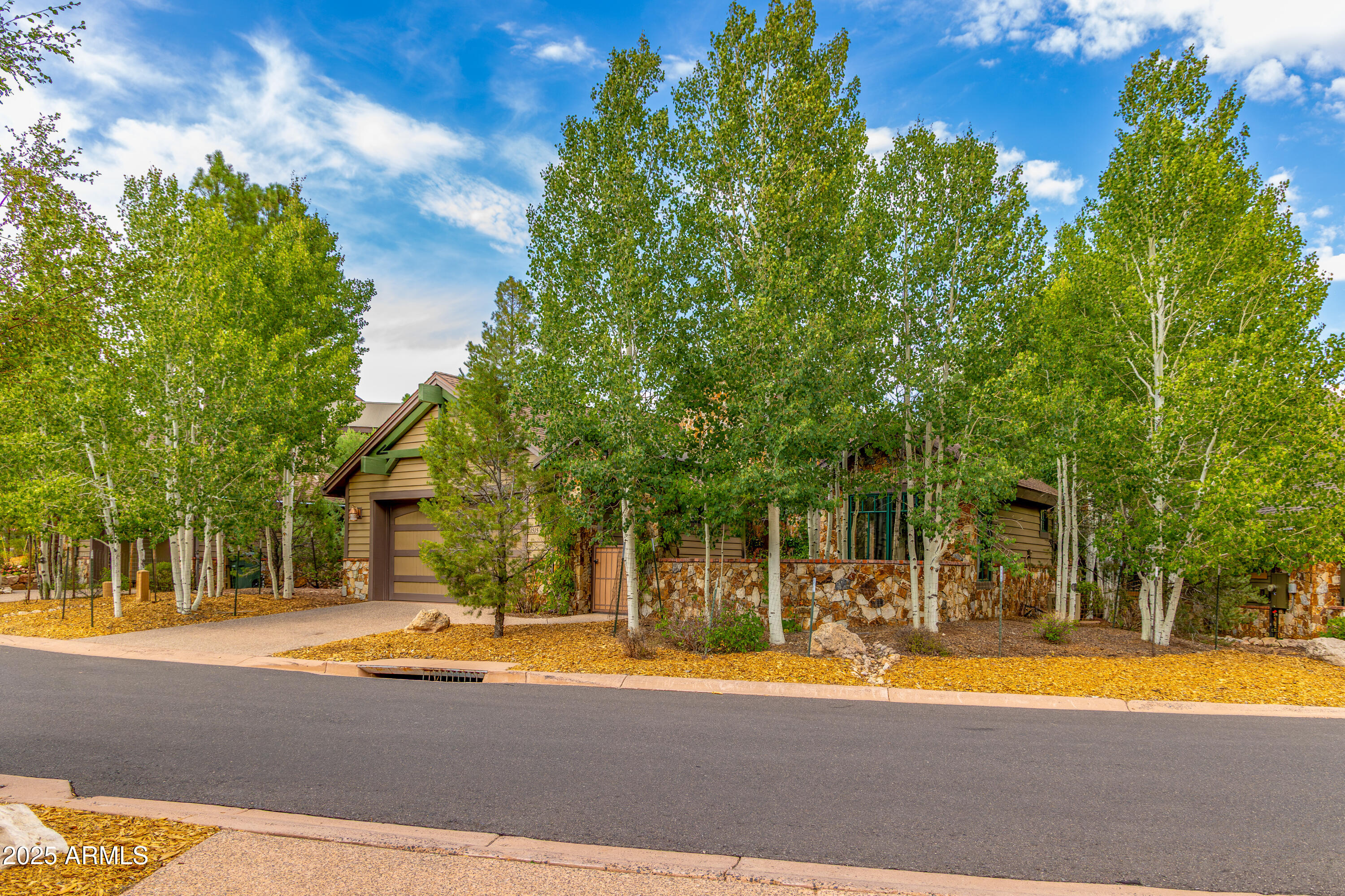 1515 E CASTLE HILLS Drive