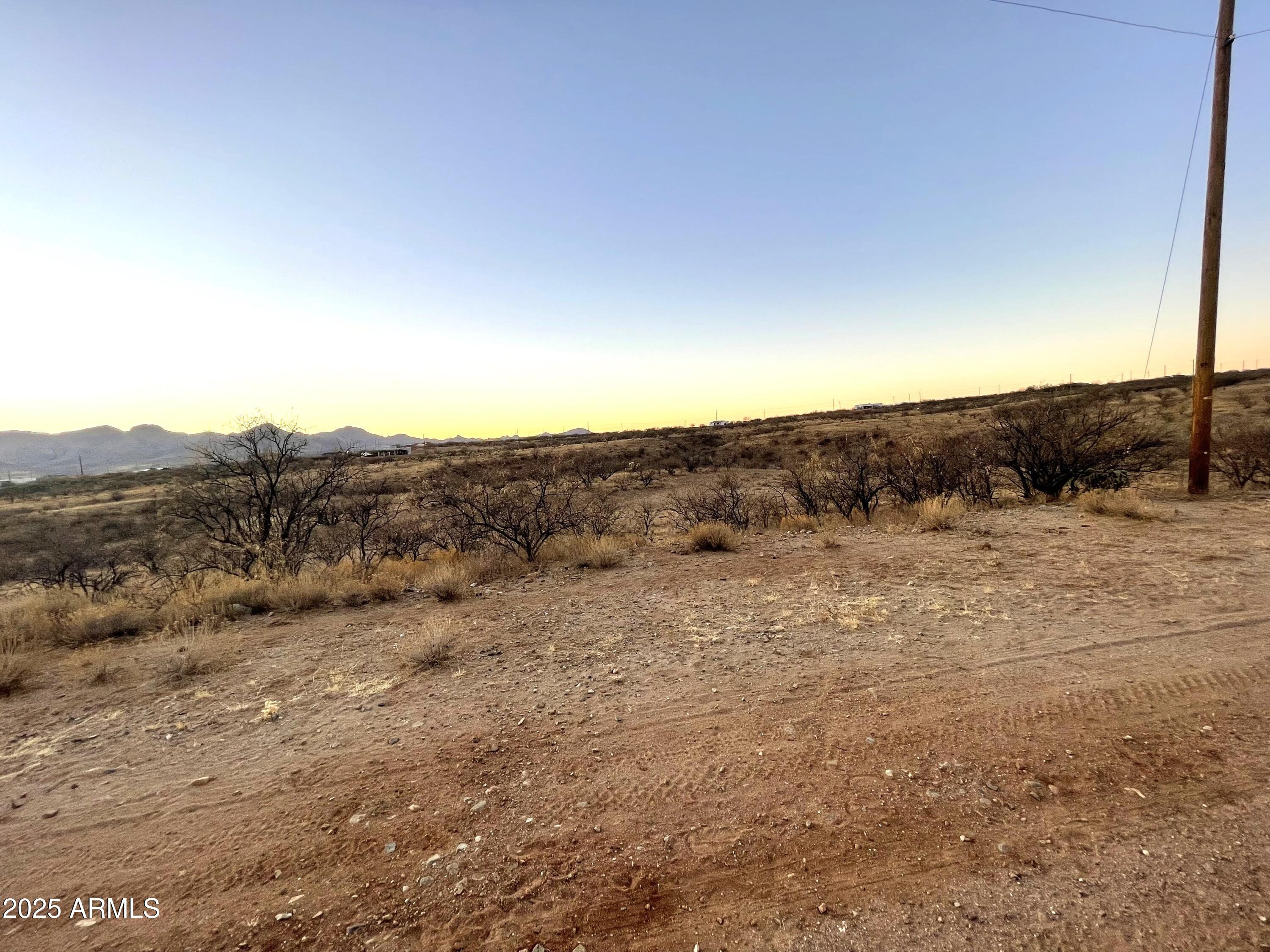 1804 CALLE TASA -- 40