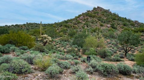 10795 E COPA DE ORO Lane 33 Gold Canyon AZ 85118