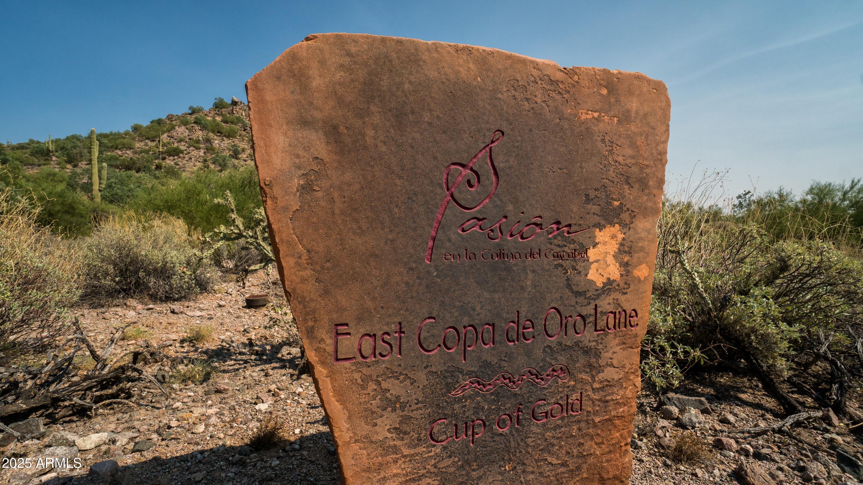 10795 E COPA DE ORO Lane 33