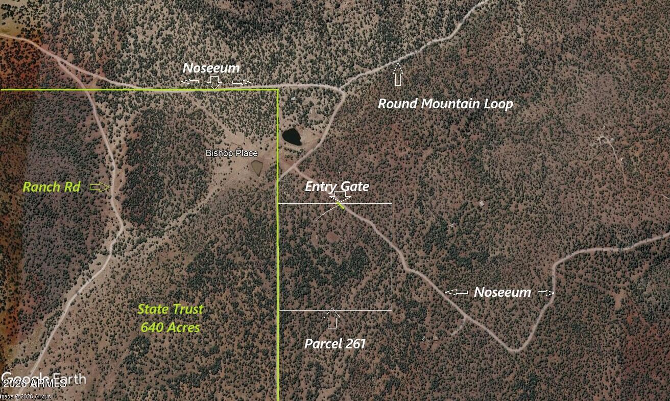 15115 Noseeum Road 261