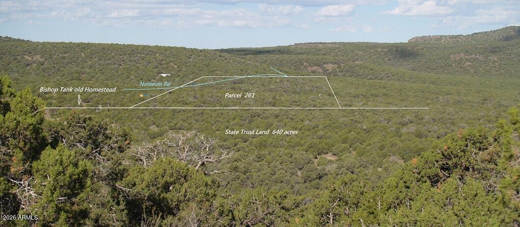 15115 Noseeum Road 261