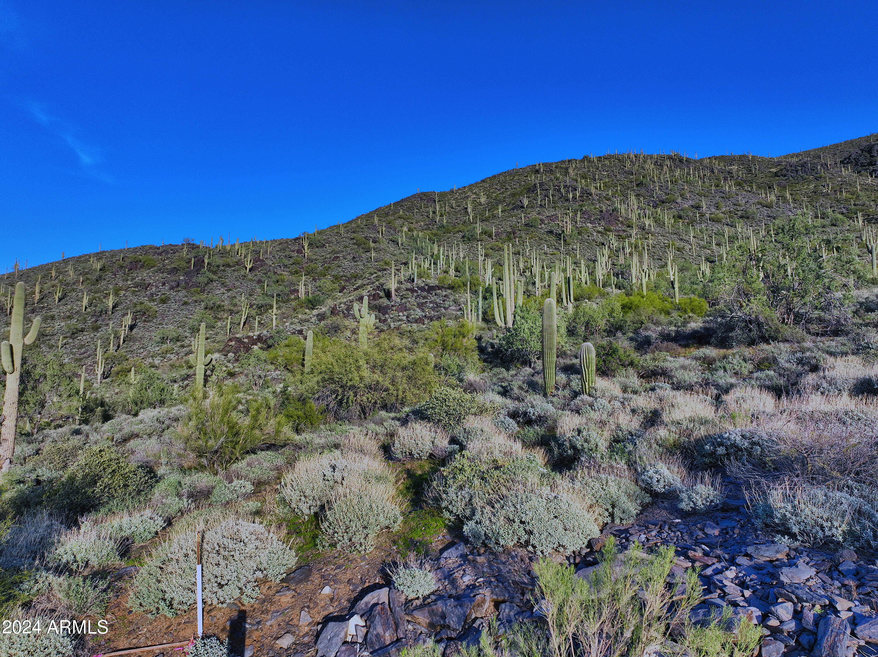 Cave Creek, Arizona 85331, United States, ,Land,Active,42731