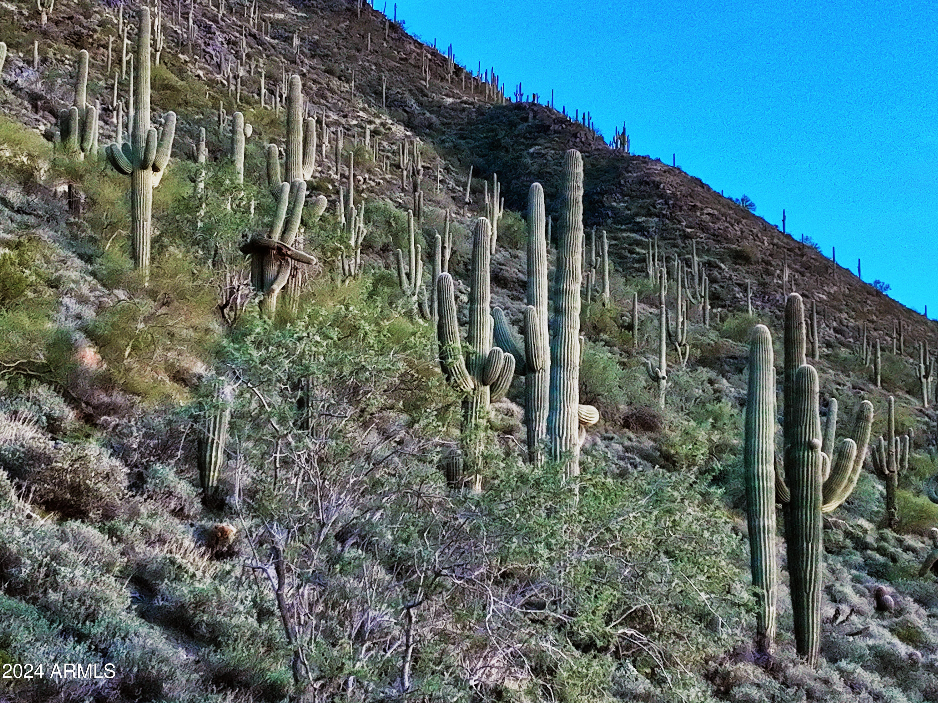 Cave Creek, Arizona 85331, United States, ,Land,Active,42731