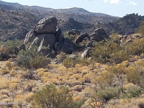 XXX1 E Boulder Pass Road 23A Kingman AZ 86401