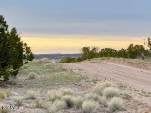 TBD Co Rd N6659 36.25 Acres -- -