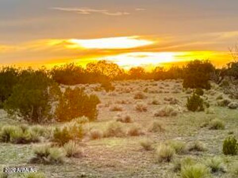 TBD Co Rd N6659 36.25 Acres -- - St Johns AZ 85936